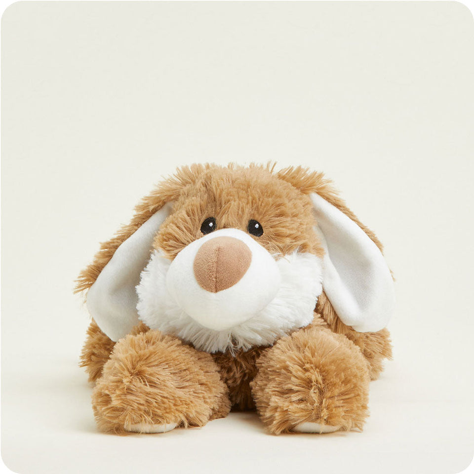 Brown Bunny Warmies - Soft Present Favorite