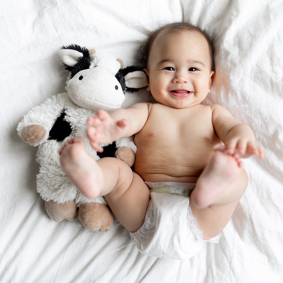 Black and White Cow Warmies - Comfort Made Simple