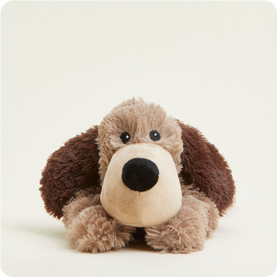 Brown Dog Warmies - Daily Comfort Pick