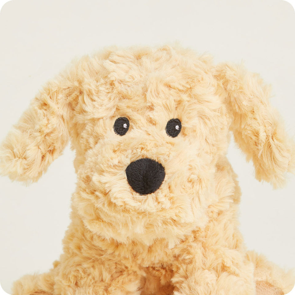 Golden Dog Warmies Junior - Easy Gift Choice
